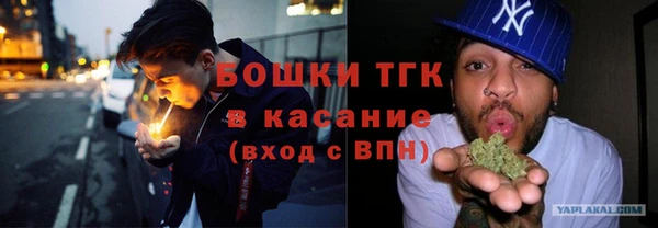 шишки Переславль-Залесский