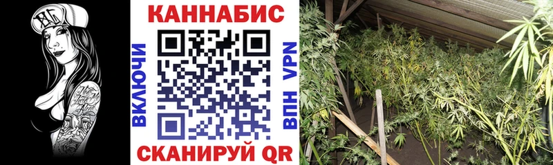 цена наркотик  OMG ТОР  Бошки Шишки конопля  Каргат 